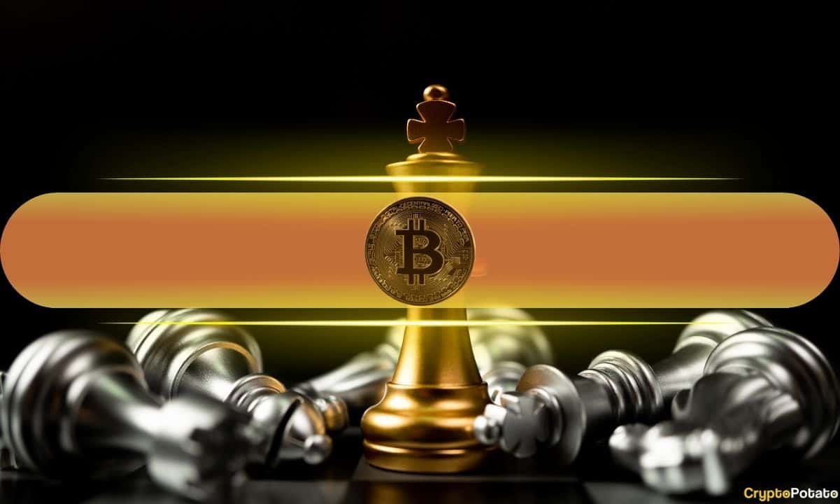 Only 9 of the top 50 Altcoins have beaten Bitcoin since its peak: picking winners is brutal