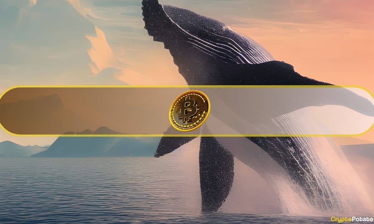 Bitcoin Whales Stay Away Ahead of Chaotic 10 Days: What’s Coming?