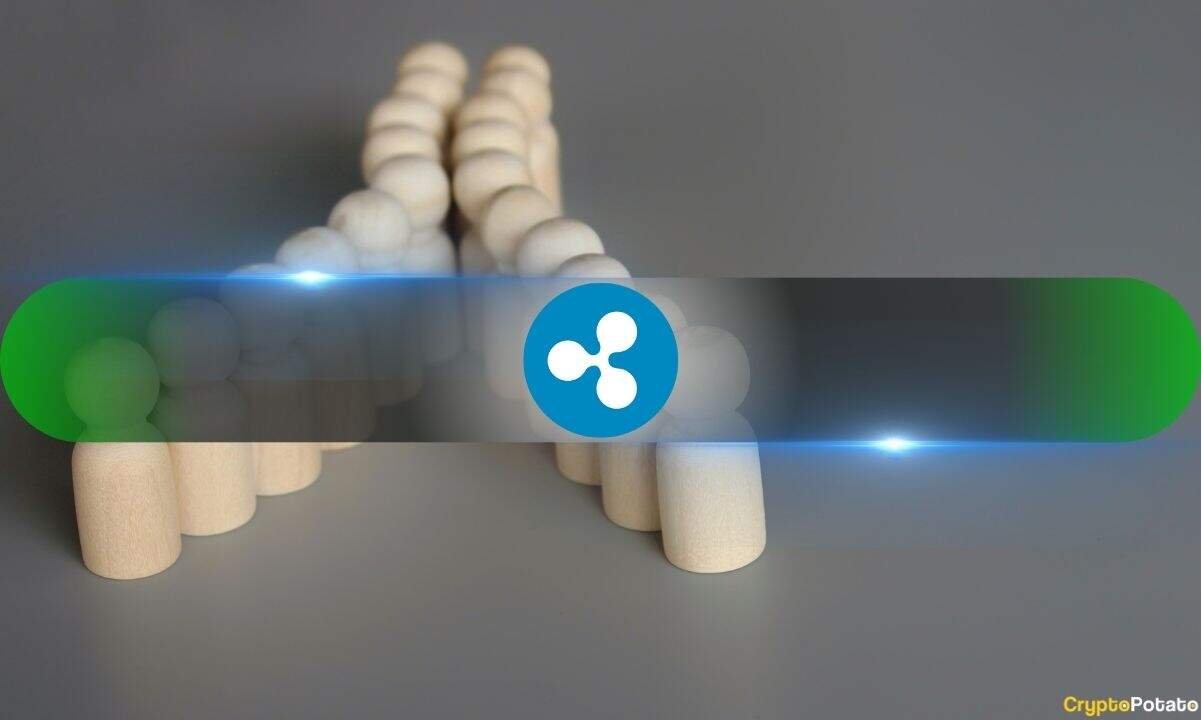 XRP’s 70% Breakout Had a Warning Sign: 85 Millionaire Wallets Moved First