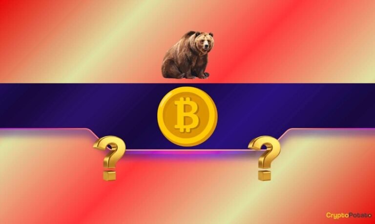 Why did the price of Bitcoin drop by ,000 in 20 minutes?